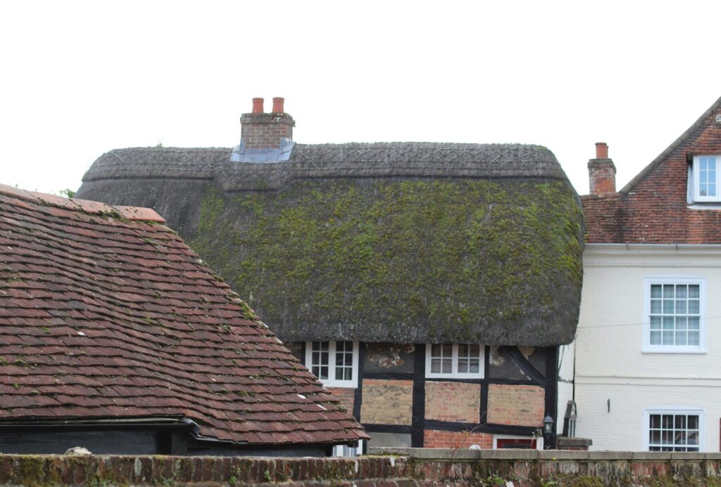 Conwy Courtyard House
